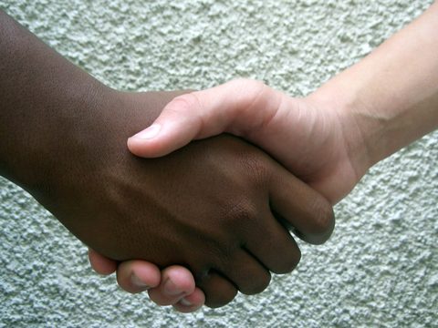A close-up of two people shaking hands